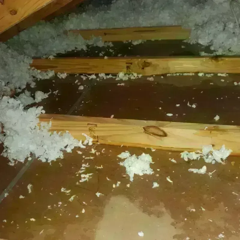 Attic Water Damage in Flowery Branch, GA