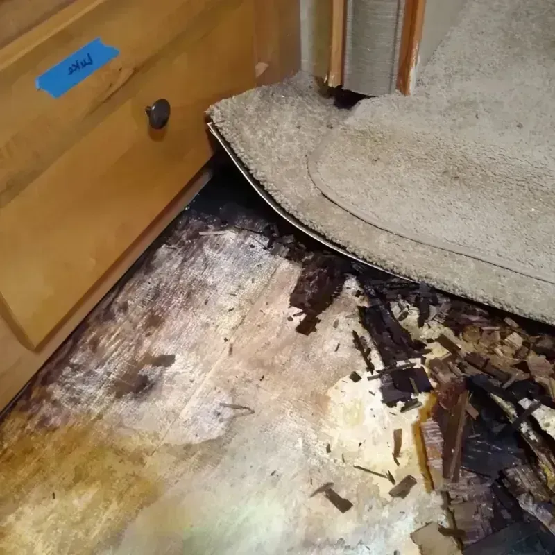 Best Wood Floor Water Damage Service in Flowery Branch, GA